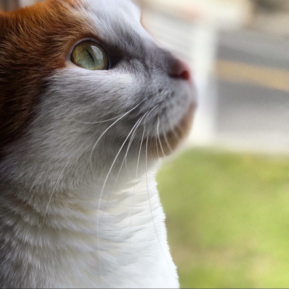 Meet your Posher, Melisse